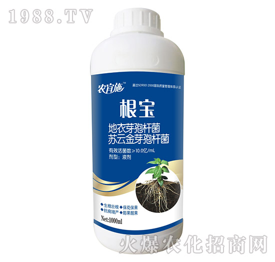 ����-�r��ʩ-��ķ�_