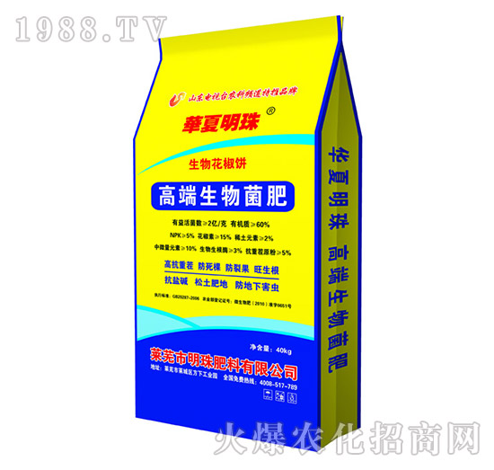 �߶��������-�������