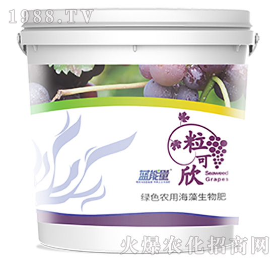 ������-�{����