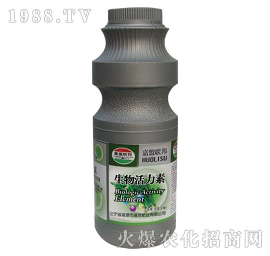 �²��۲ˌ������������-�μ�