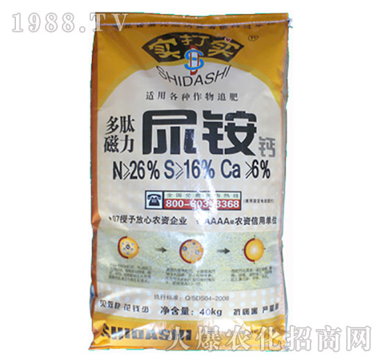 ���Ĵ������@�}-��(sh��)��?q��)? style=