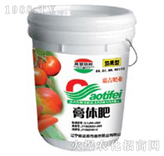 ���w��-�μ�