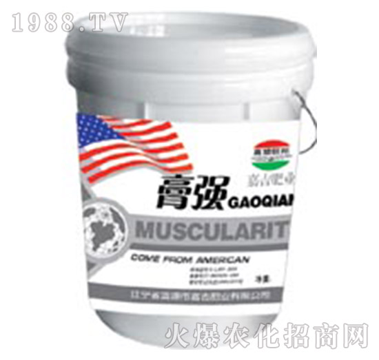 ����-�μ�