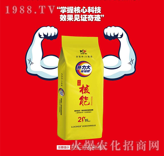 �_����������-���غ���-�����W