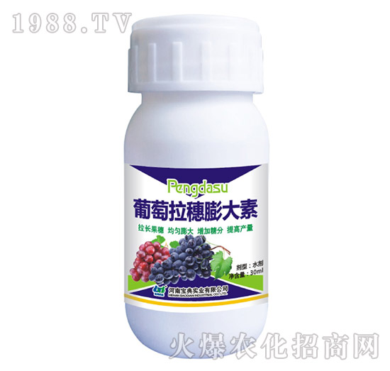 �������������-���䌍(sh��)�I(y��)