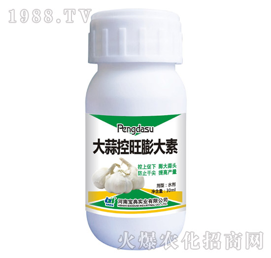 ������������-���䌍�I(y��)