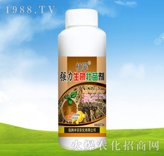 �����������焩-ֲ��-�S�r�r��