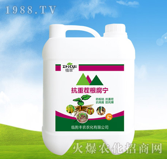 ���ز������-ֲ��-�S�r�r��