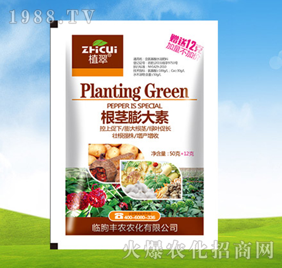 ���o�����-ֲ��-�S�r�r��