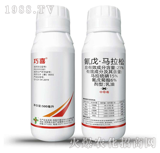 21%���졤�R����-��ϲ-�����_