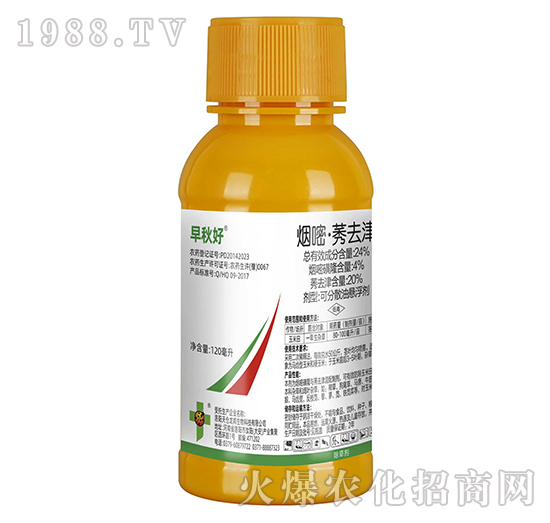 24%���ס�ݬȥ��-�����׌��ó��݄��������-�����_(d��)