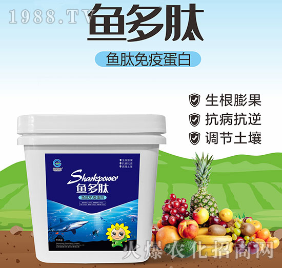 �~(y��)�����ߵ���-�~(y��)����-����(li��n)��