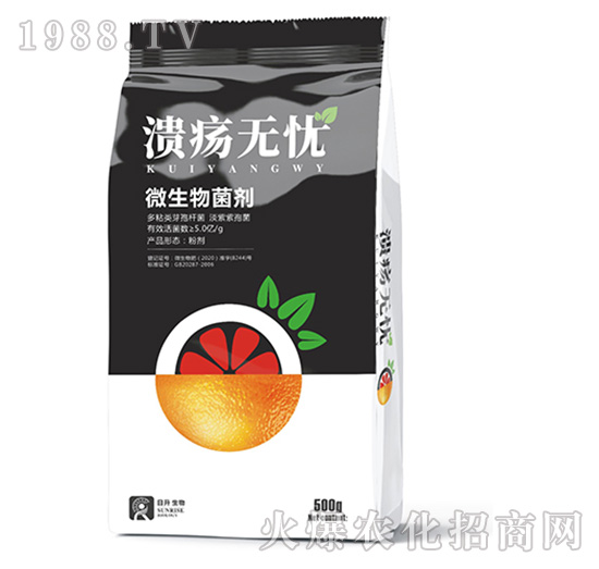 ΢�������-�����o(w��)�n-��������