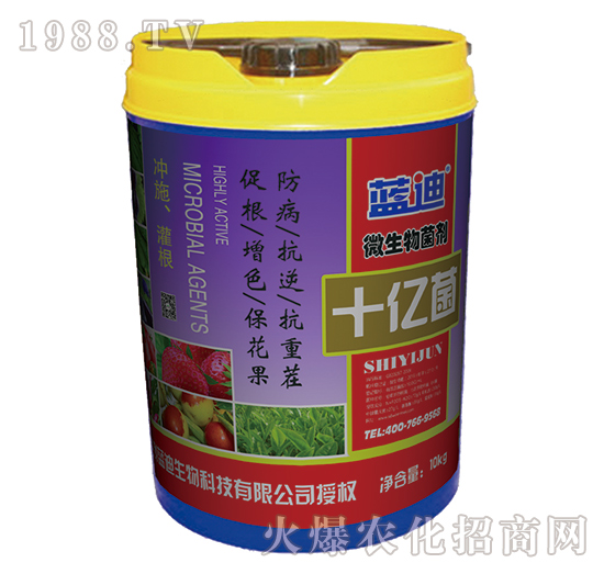 ΢�������-ʮ�|��-�{���֠���