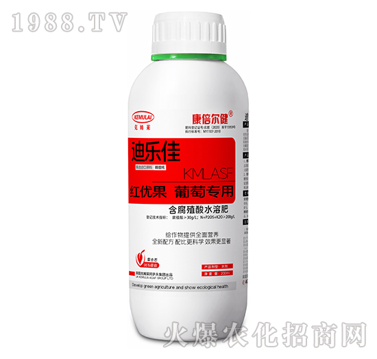 ���ь��üt��(y��u)��-�Ϙ�(l��)��-��������-��ķ�R