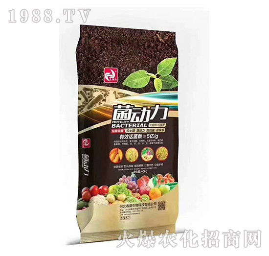 ���Z�l(f��)�������ЙC����-������-�����t