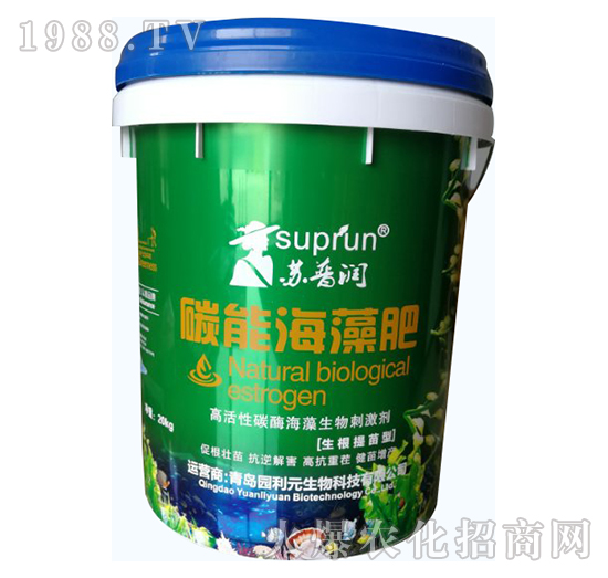 ����������-̼�ܺ����-�@��Ԫ