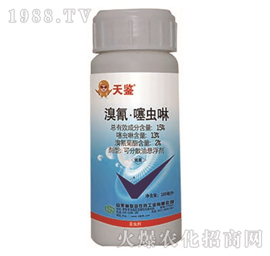 15%���衤���x��-���b-���r(n��ng)(li��n)��