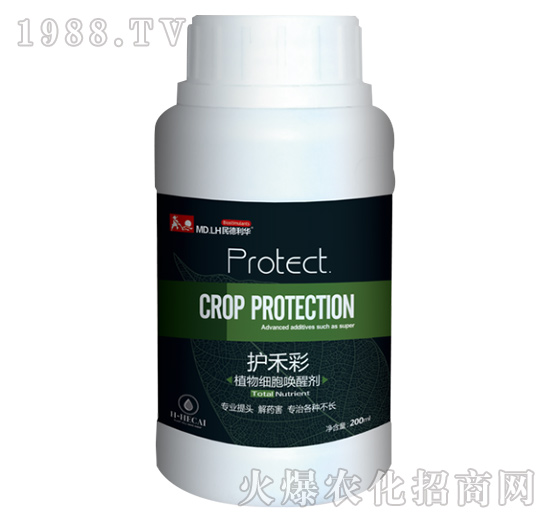 ֲ�：�����ф�-�o�̲�-������A