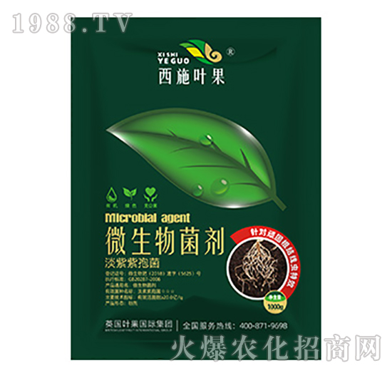 �������߾�-΢�������-�~������