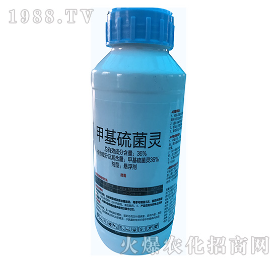 36%�׻�����`-�\ʢ����