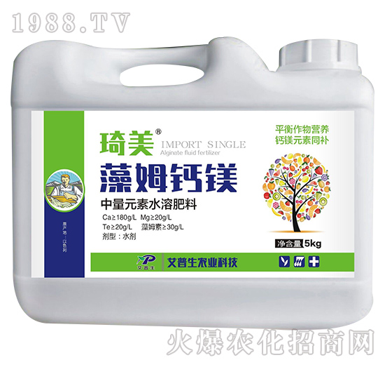 ��ķ�}�V-����-������