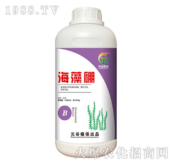 ������-Ԫ��ֲ��