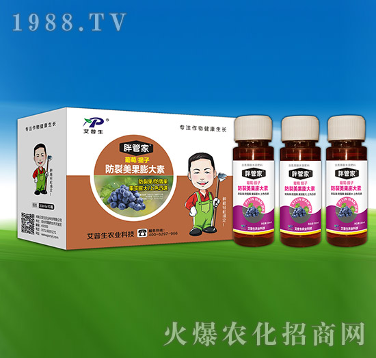 �������ӷ������������-�ֹܼ�-������