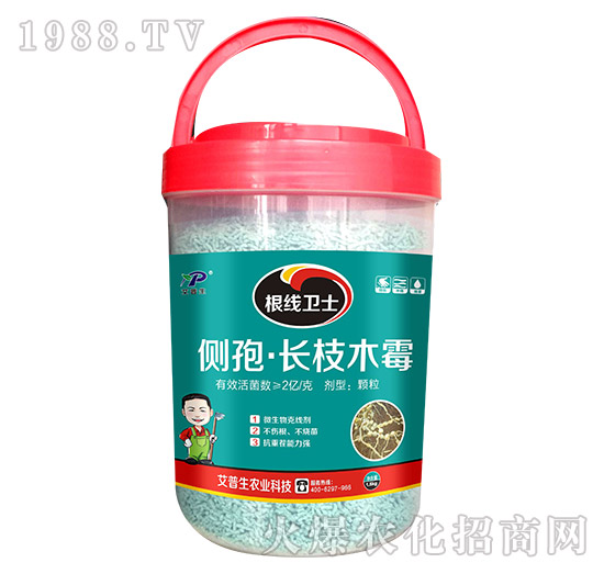 �����l(w��i)ʿ-������