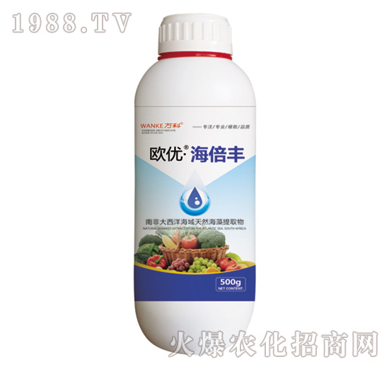 �W��(y��u)�������S-�f(w��n)��