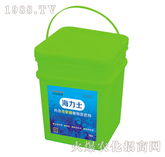 ����ʿ-�f��