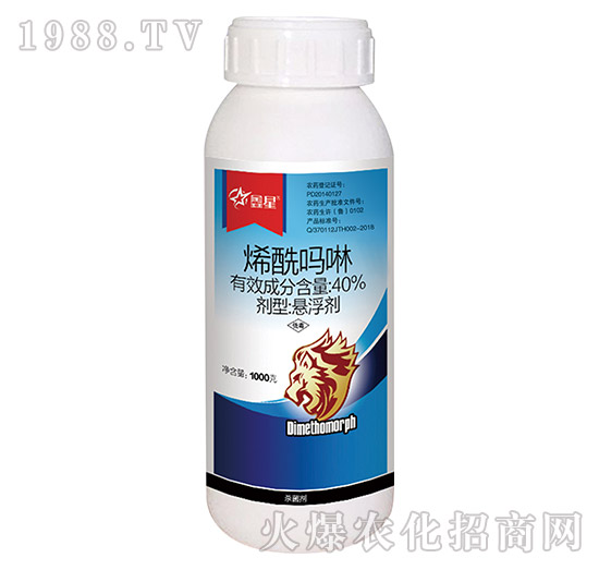 40%ϩ������-����