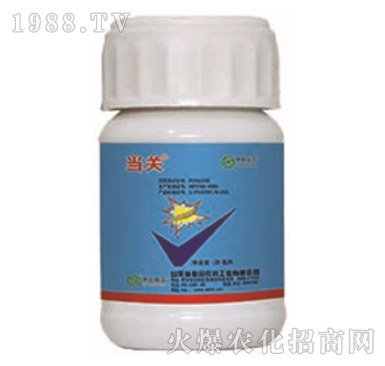 24%�����x����+5%���S����-���P(gu��n)-���r(n��ng)(li��n)��