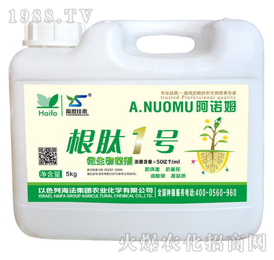 ΢�������-����1̖-���Zķ-�W�{�r�I(y��)