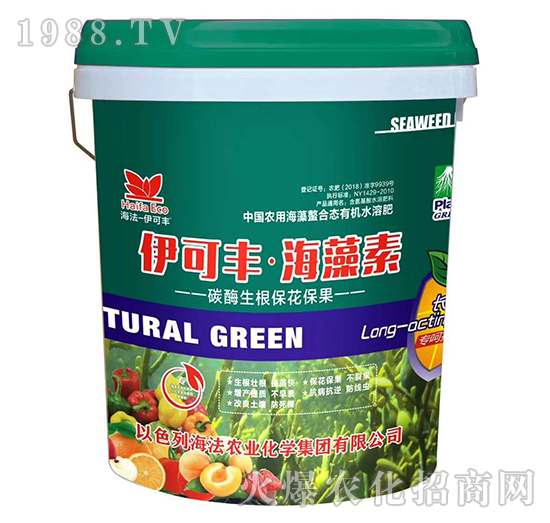 ̼ø������������-�����S��������-����