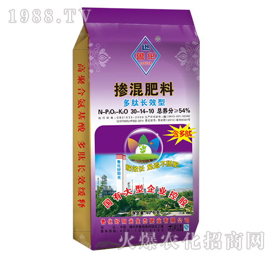 �����LЧ�͓������30-14-10-����