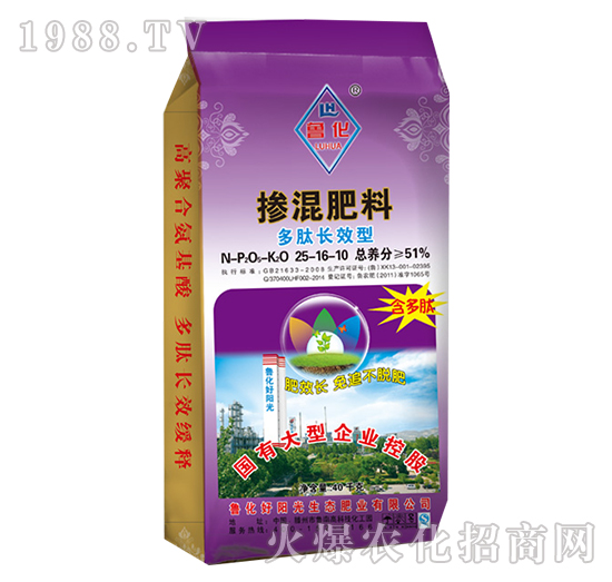 �����LЧ�͓������25-16-10-����