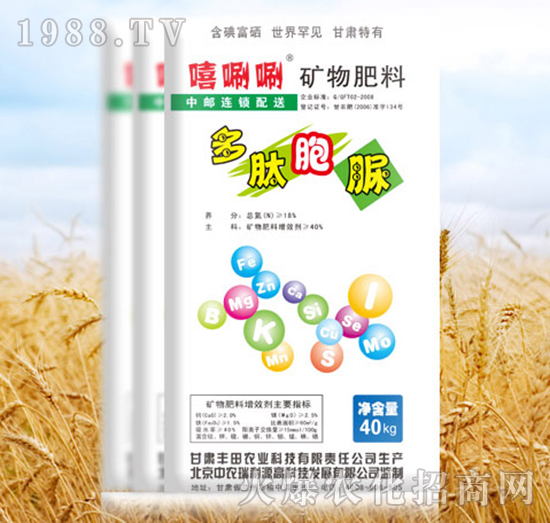 �V�����-���İ���-����-�S���r(n��ng)�I(y��)