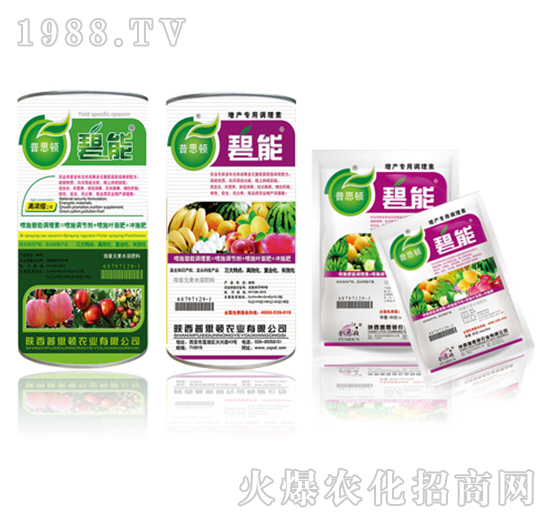 ���a�����{����-����-��˼�D�r�I(y��)