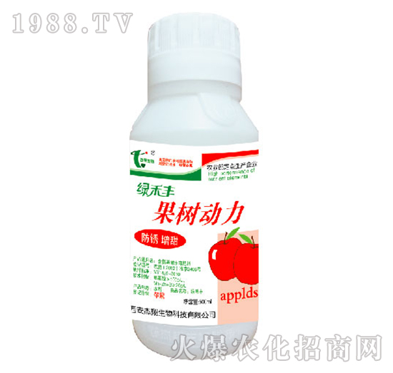 ����(sh��)��(d��ng)��-�G���S-��������