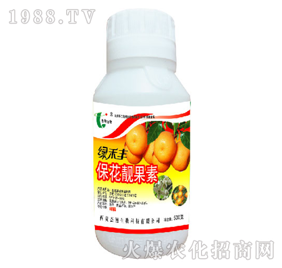 �����n����-�G���S-��������