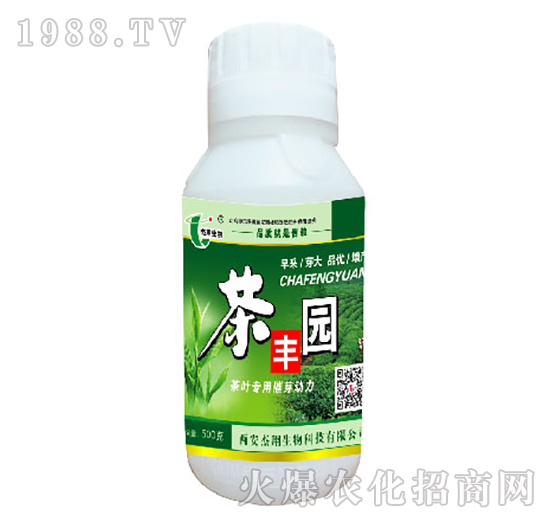 ���~���ô�ѿ����-���S�@-��������