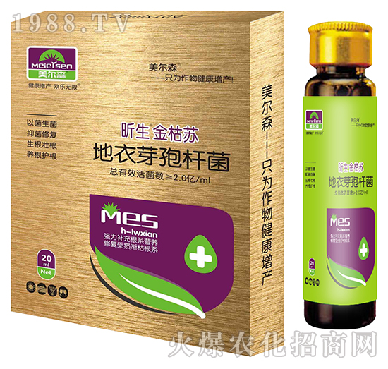 ����ѿ�ߗU��-�������K-����ɭ