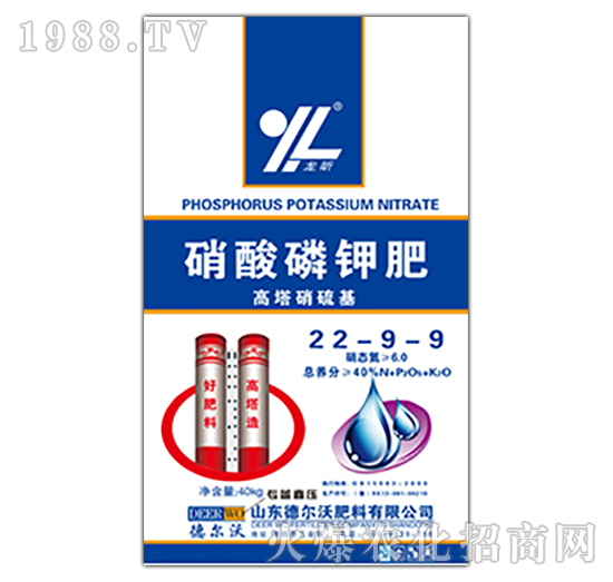 ������⛷�22-9-9-���-� ���