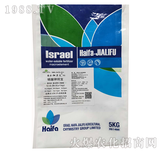 ������}��12-6-38+3Cz+1MgO-����������5̖(h��o)-����������