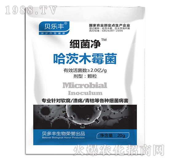 ����ľù��-��(x��)����-ؐ���S