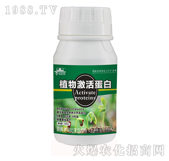 ֲ�ﵰ��-ؐ���S