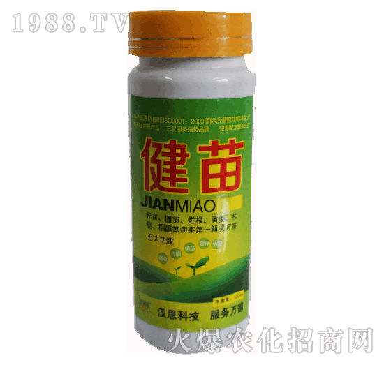 ����-�h˼����