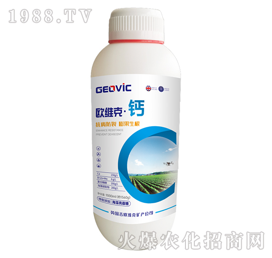 �W�S�ˡ��}-�A�˱���