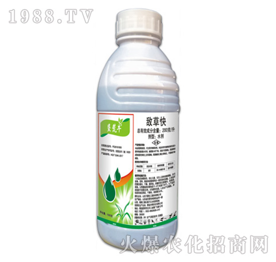 200��ÿ�����ݿ�-����ţ-�ݵ�˹